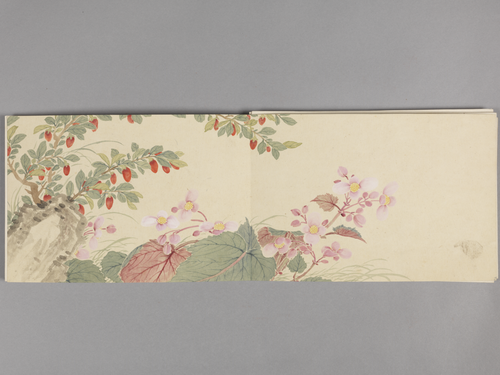 董诰花卉图册, , Dong Gao