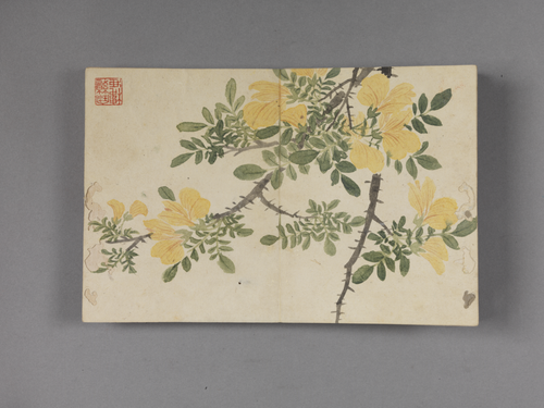 董诰花卉册, , Dong Gao
