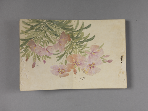 董诰花卉册, , Dong Gao