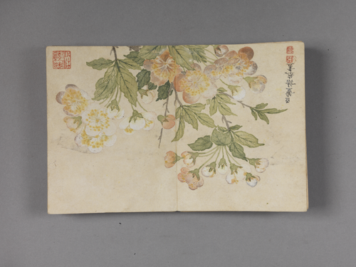 董诰花卉册, , Dong Gao