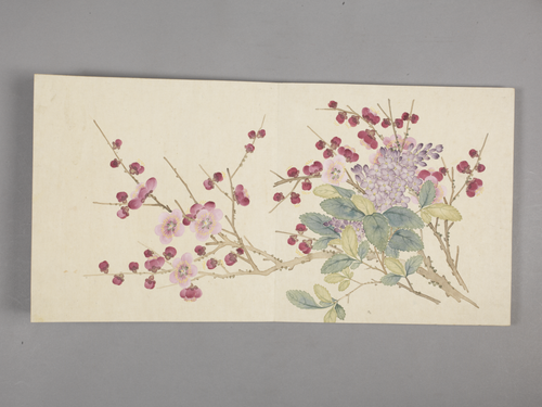 董诰花卉小册, , Dong Gao