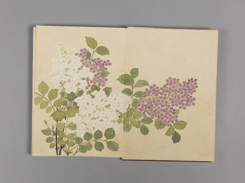 董诰花卉小册, , Dong Gao