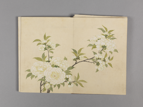 董诰花卉小册, , Dong Gao