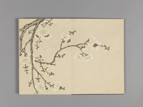 董诰花卉小册, , Dong Gao