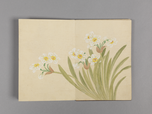 董诰花卉小册, , Dong Gao