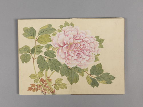 董诰花卉小册, , Dong Gao