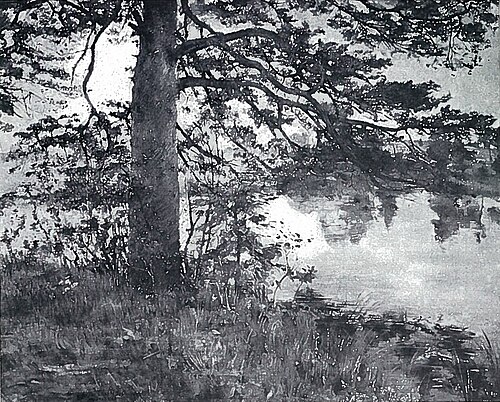 Kiefer am Wasser, 1892, Lovis Corinth