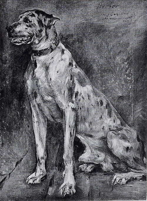 Deutsche Tigerdogge Hektor, 1905, Lovis Corinth