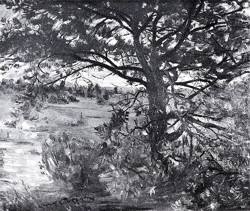 Lüneburger Heide, 1908, Lovis Corinth
