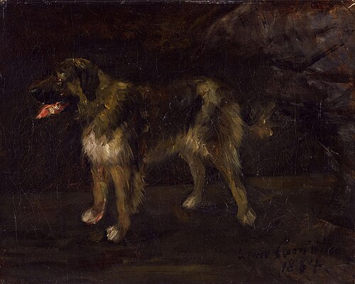 Dog study, 1884, Lovis Corinth