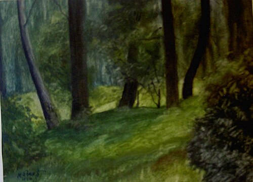 Forest area by the carp pond, 1954, Hans Brass