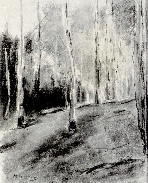 Birkenlichtung, , Max Liebermann