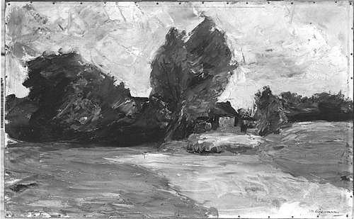 Dutch landscape, 1898, Max Liebermann
