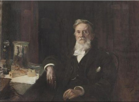 Porträt des Carl Brunner-von Wattenwyl (1823-1914)., 1906, Hans Temple