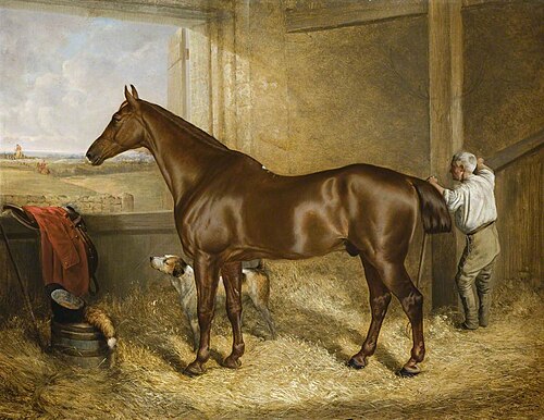 'Emperor' in his Stall, 1867, Harry Hall