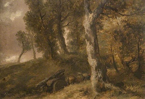Study Of Trees, 1874, John Gilbert