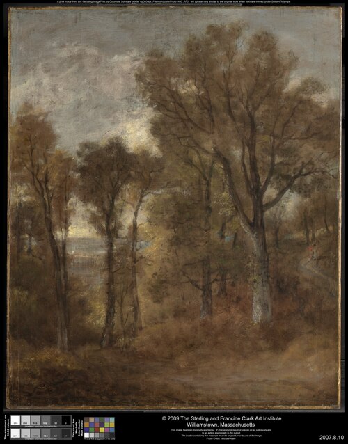 Woodland Scene Overlooking Dedham Vale, , John Constable