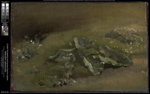Study of a Burdock, , John Constable