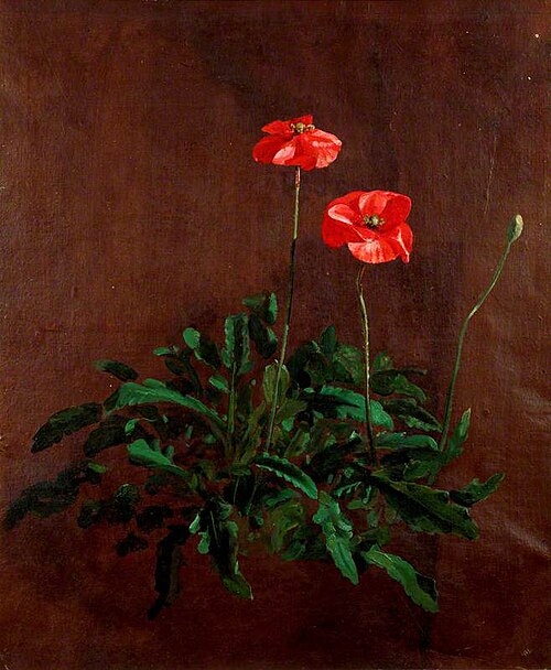 Study of Poppies, 1832, John Constable