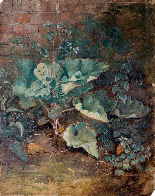 Plants Growing near a Wall, 1825, John Constable