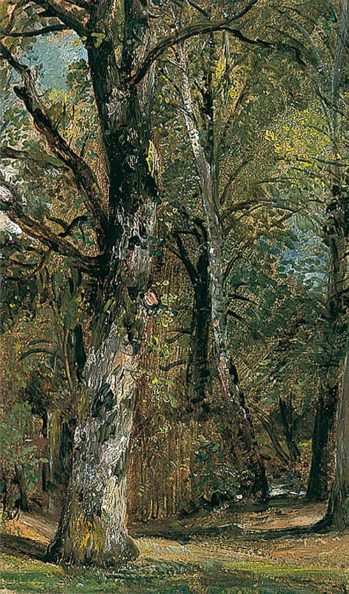 Avenue of Trees, , John Constable