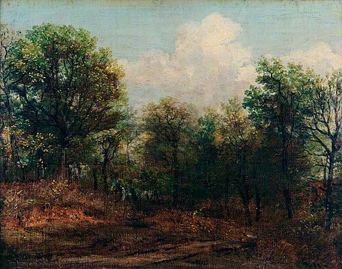 A Wood, 1802, John Constable