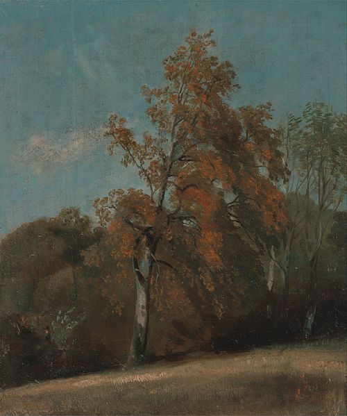 Study of an Ash Tree, 1801, John Constable