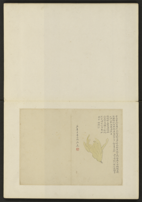 陈撰花卉册, , Chen Zhuan