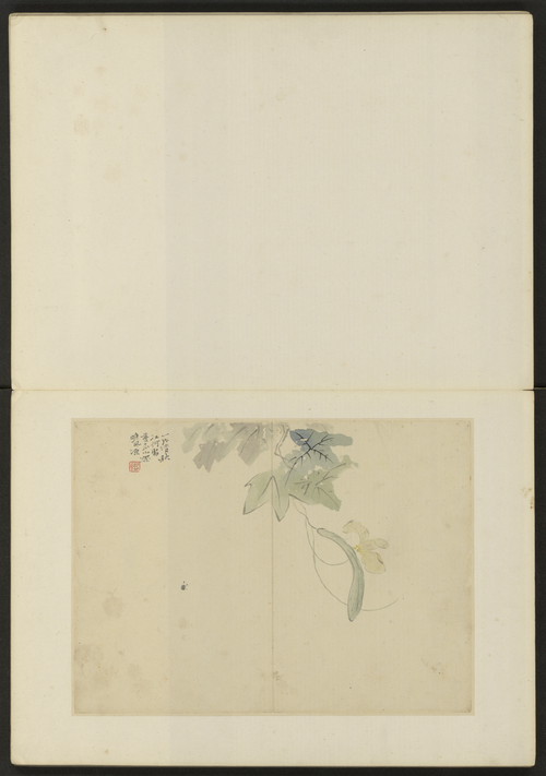陈撰花卉册, , Chen Zhuan