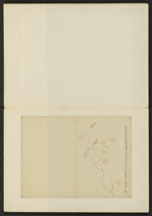 陈撰花卉册, , Chen Zhuan