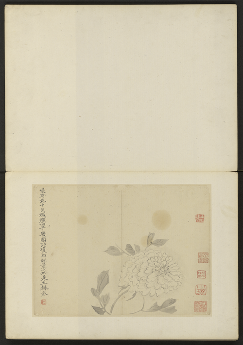 陈撰花卉册, , Chen Zhuan
