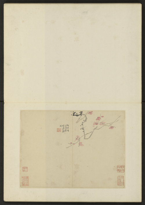 陈撰花卉册, , Chen Zhuan