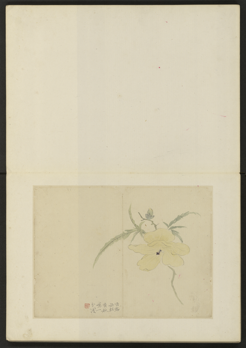 陈撰花卉册, , Chen Zhuan