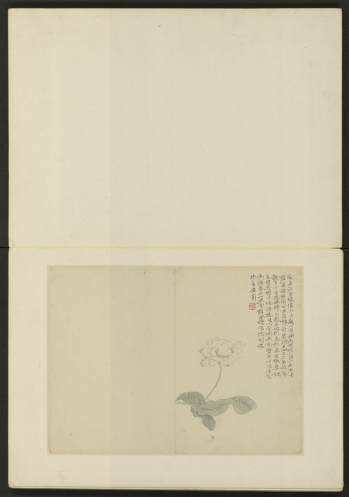陈撰花卉册, , Chen Zhuan