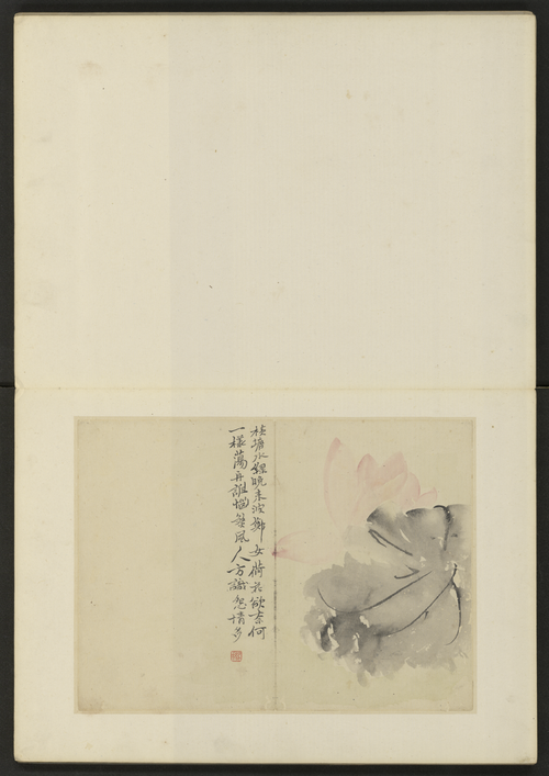 陈撰花卉册, , Chen Zhuan