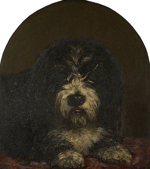 Head of a Dog, , Patrick Allan Fraser