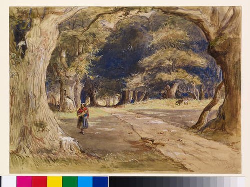 The Gipsy, 1846, John Everett Millais