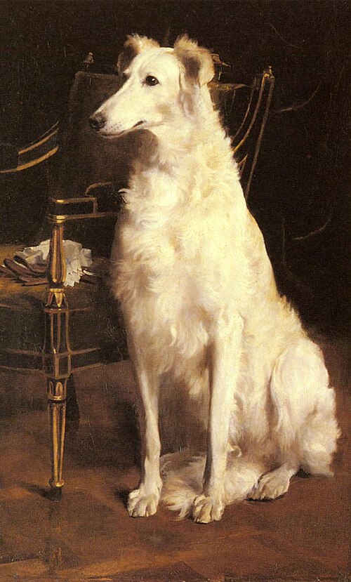 A Borzo by a Chair, 1850, Saint George Hare