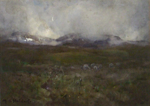 Sheep Country, , Margaret Stoddart