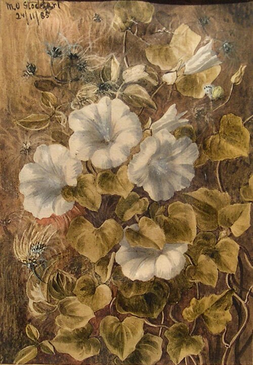 Untitled, 1885, Margaret Stoddart