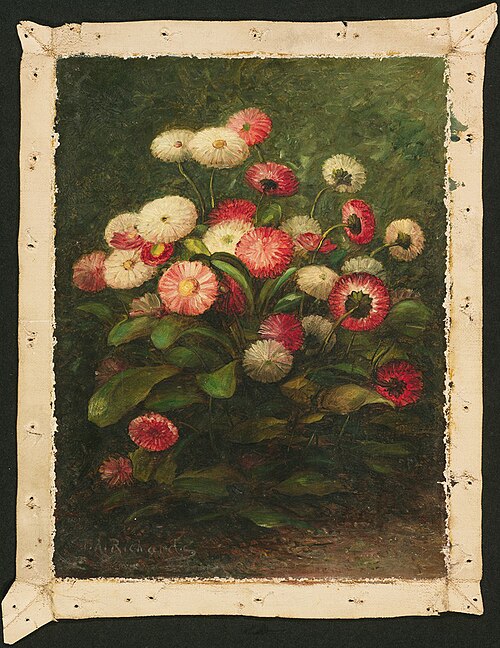 Daisies, 1865, Thomas Addison Richards