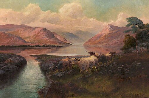 Highland Cattle, , Henry Robinson Hall