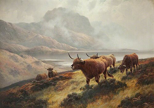 Highland Cattle above Loch Maree, , Henry Robinson Hall