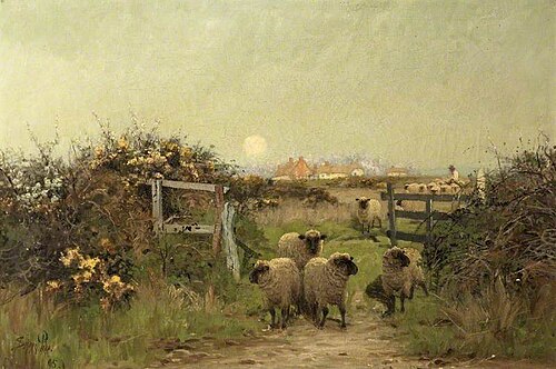 Sheep in a Meadow, 1895, Sidney Pike