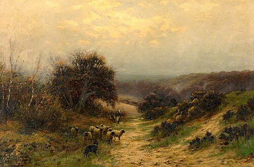 Sheep, , Sidney Pike