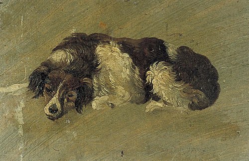 Dog, 1899, Theo van Doesburg
