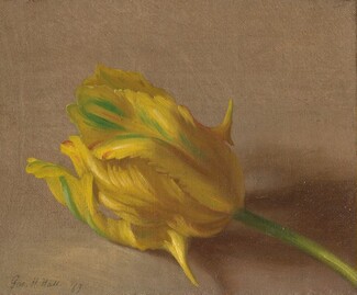 Tulip, 1869, George Henry Hall