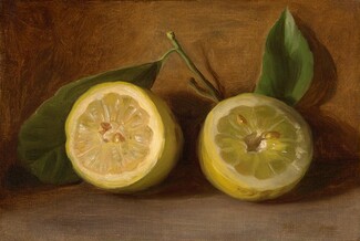 Lemons, 1884, George Henry Hall