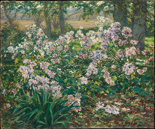 Windflowers, 1912, Gaines Ruger Donoho