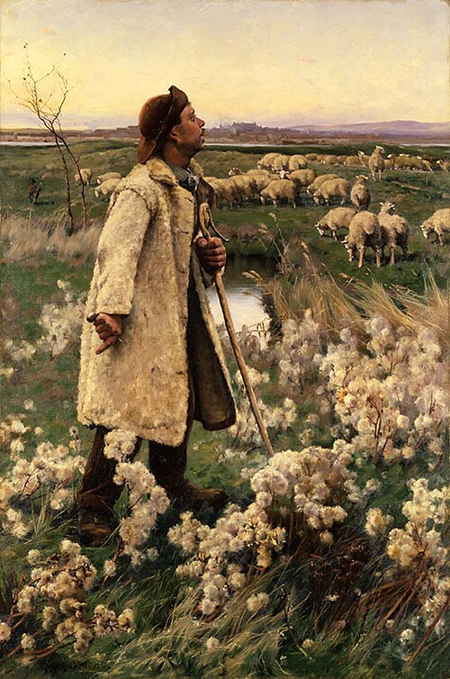 Shepherd, 1884, Gaines Ruger Donoho